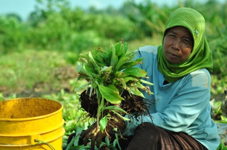 farmer kentjur