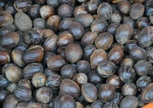 nutmeg trove spice 4