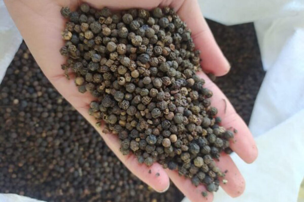 pepper wholesale
