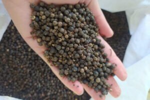 pepper wholesale