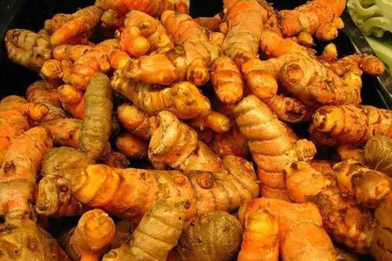 turmeric price