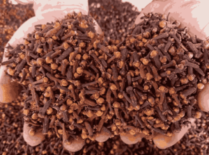 Clove Spice Exporters