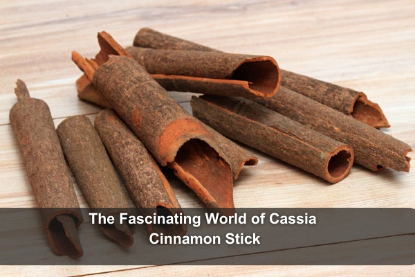 Cassia Cinnamon Stick