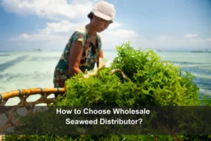 Wholesale Seaweed Distributor