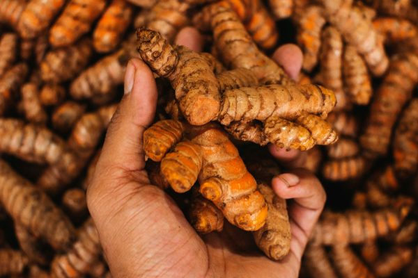 turmeric root seasoning