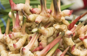 Galangal Exporter