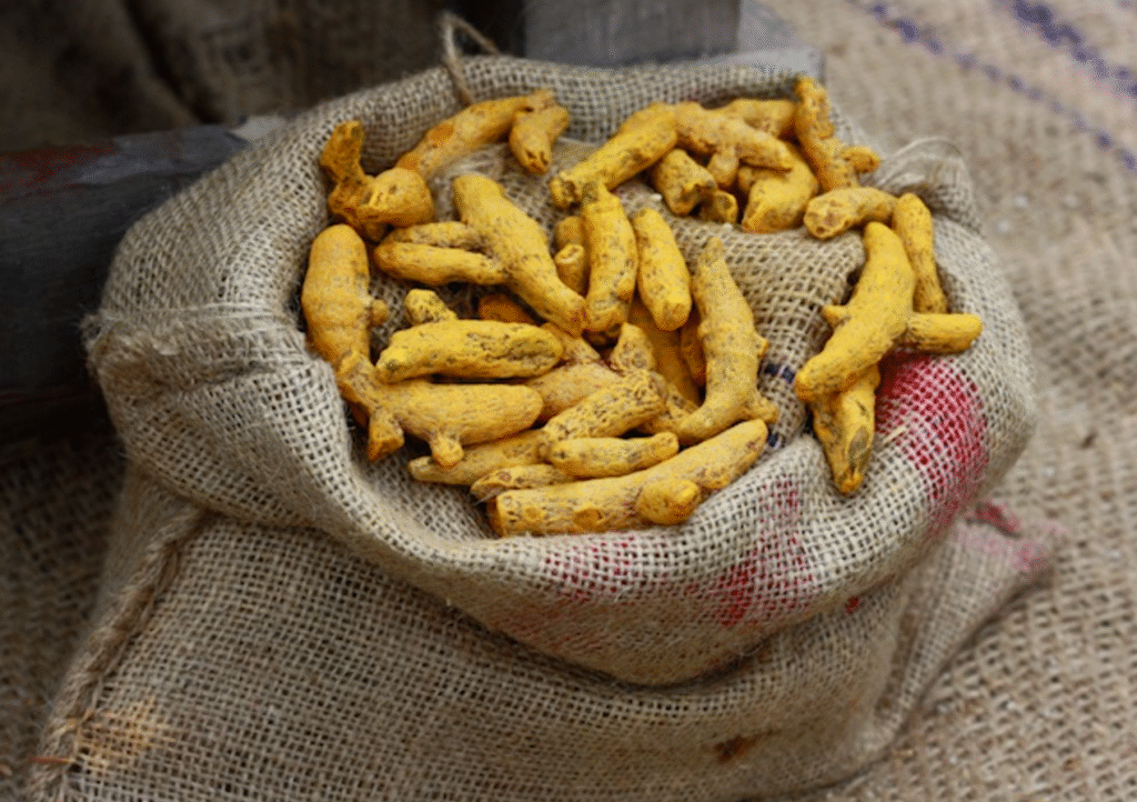 Turmeric Fingger Exporter