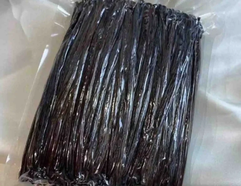 Gourmet vanilla beans supplier