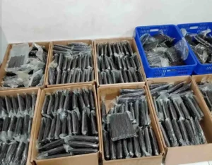Indonesian vanilla bean supplier Planifolia beans