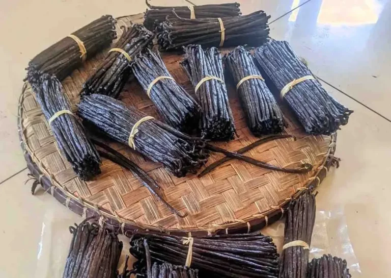 Sun-dried vanilla bean